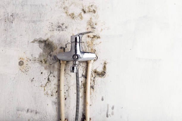 Best Post-Flood Mold Remediation in Monroe, WI