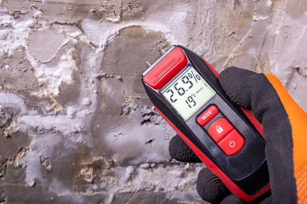 Best Post-Remediation Services in Monroe, WI
